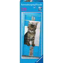 Любопытный котёнок