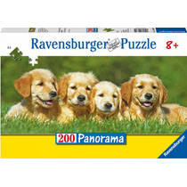 Четвероногие друзья (панорама)